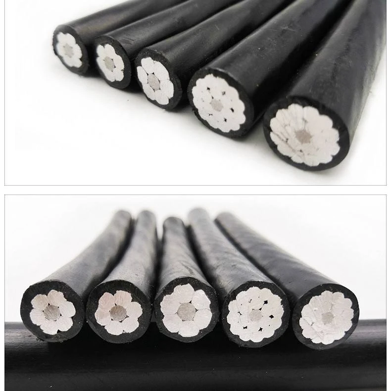 product-790-790 product-790-790