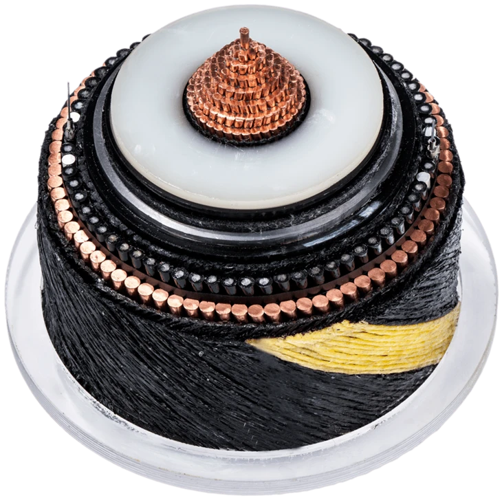 Submarine Cable